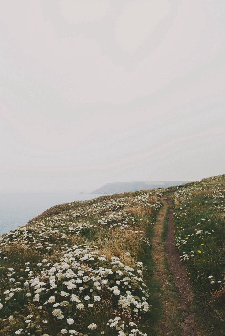 yunho is going up the hill racing your partner while the wind blows and the sun is slowly setting