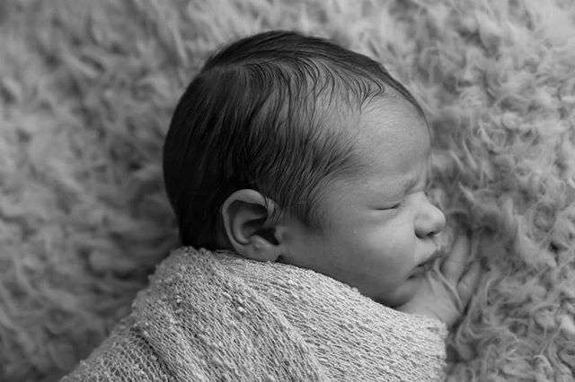 PixOlogy's tweet photo. Super sweet.... #newborn #newbornphotography  #bethlehemnewbornphotographer #pixologyphotography https://t.co/ztLEJdXZh1 https://t.co/xcppBl6dhc