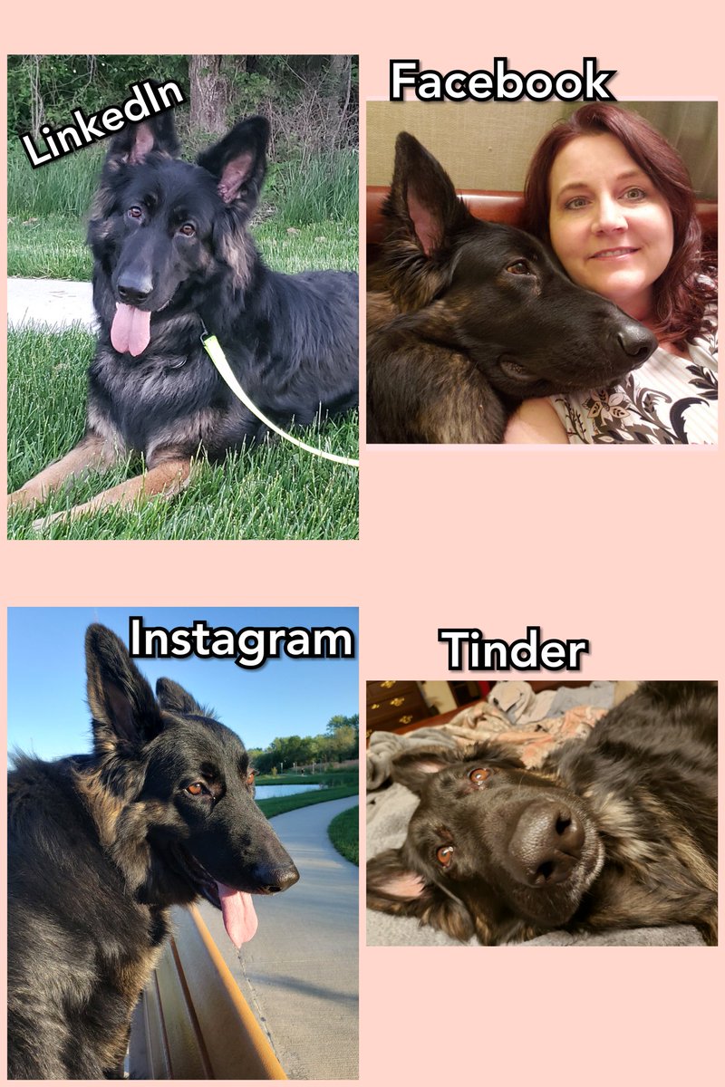 Sherri Pickman (@pickmansherri) on Twitter photo 