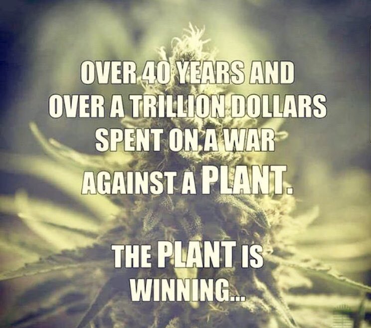 _jena4n's tweet photo. #Winning 💯#IAmCannabis 🌱 https://t.co/cDMvFn5x3t