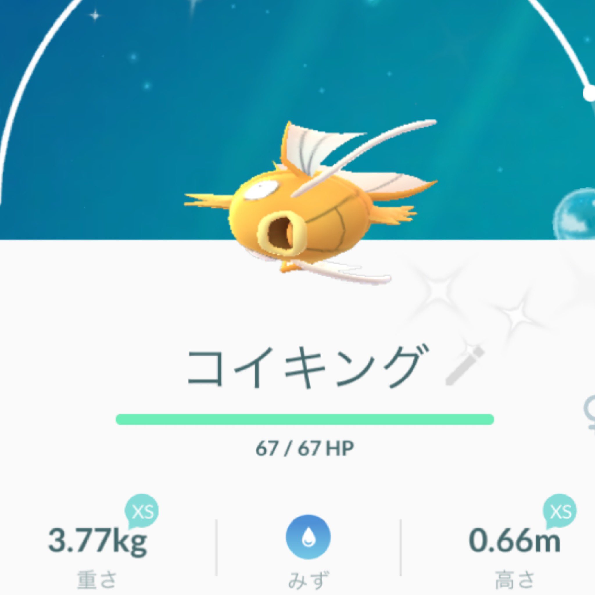 金のコイキング Twitter Search Twitter