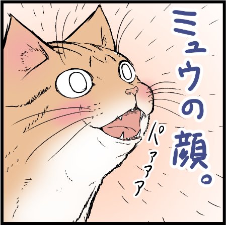 これだからニャンコってやつは・・・w
#猫好き 