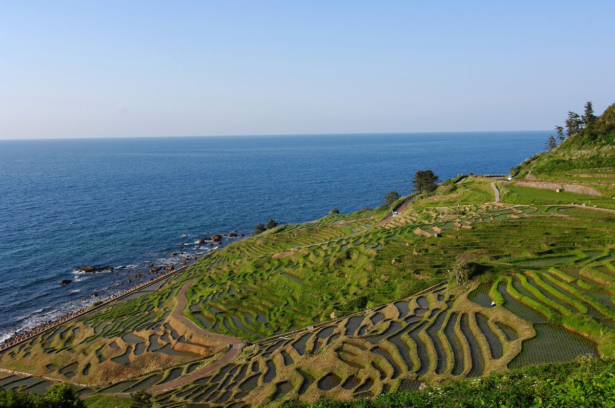 FAOJapan's tweet photo. 🤔私たちは、将来の世代まで、美しい農業景観や生態系をどのように守っていくことができるのでしょうか。
@FAOと日本🇯🇵は、世界農業遺産 #GIAHS の保全と発展に共に取り組んでいます。
📘詳しくは最新の日・FAO報告書から👉https://t.co/CSOyEmlWSh
@MAFF_JAPAN
#DynamicConservation https://t.co/1kK3wYElLd