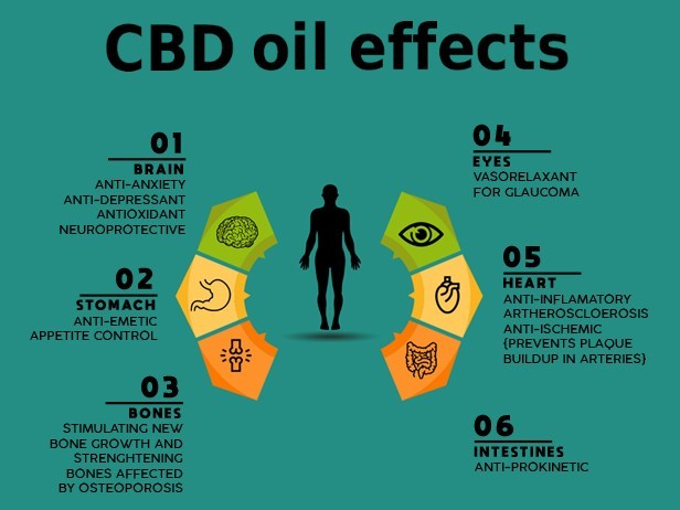 DemandCreate's tweet photo. #cbdoil #cbdeffects https://t.co/697WviWKXW