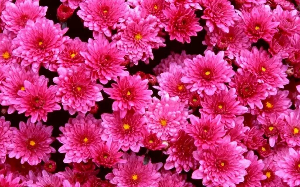 good morning _________\\\\\