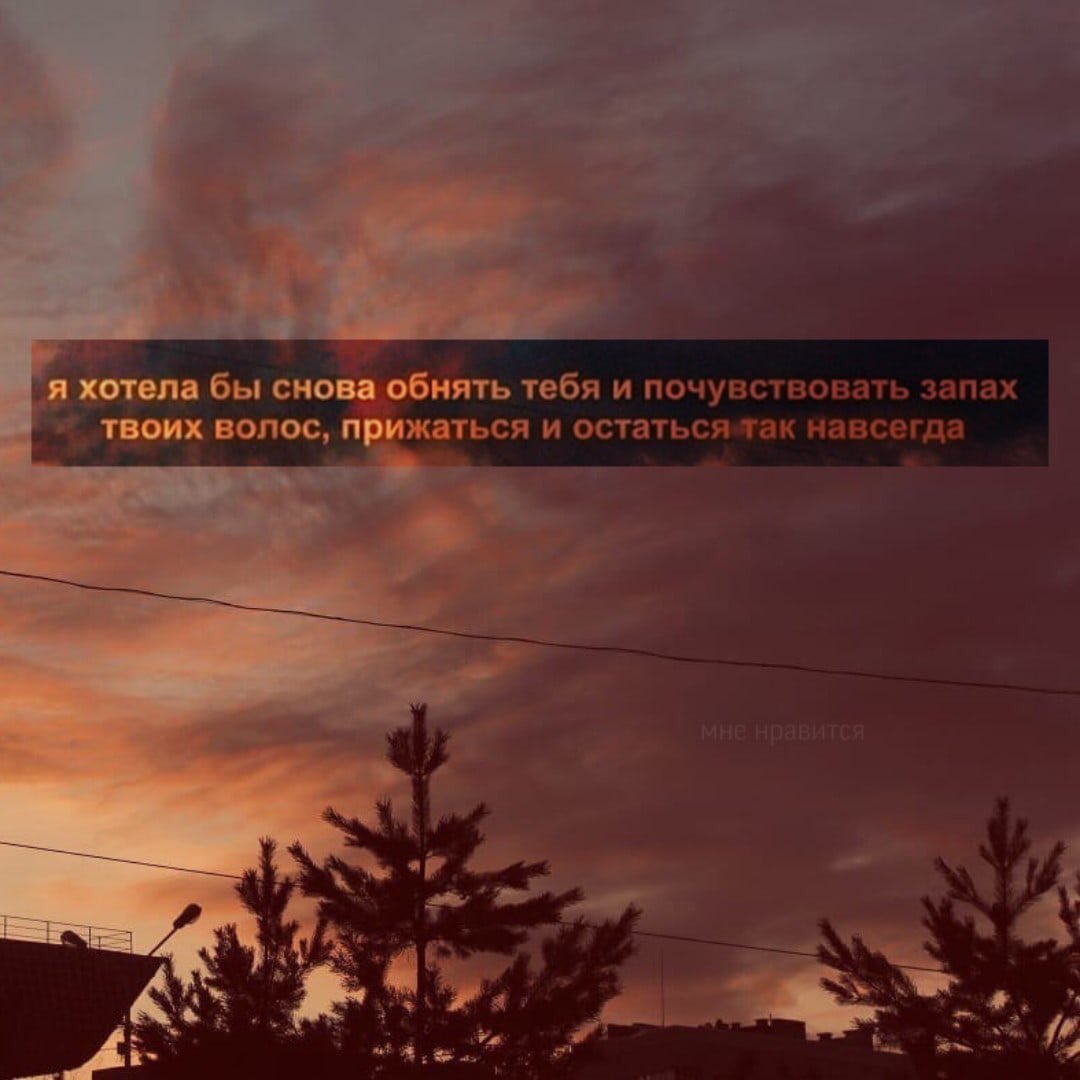 polinaslt tweet picture