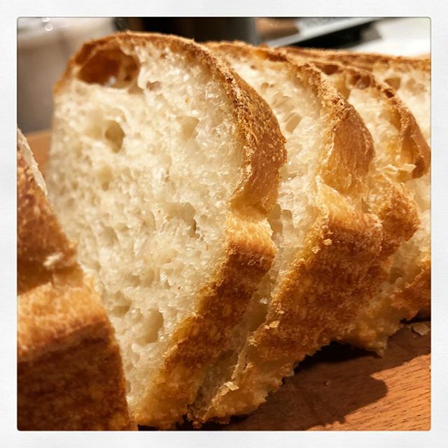 chbamey 🌱 tweet media