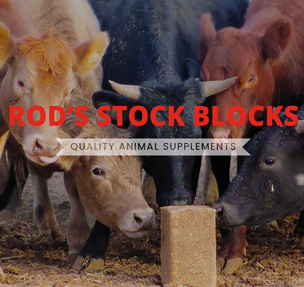 South East Mix coxrural.com.au/rods-custom-ma…  
Used for both sheep and cattle on dry feed and stubble. Ideally suited for South Eastern South Australia region. Contains a balanced combination of urea and natural proteins. As well as essential vitamins, minerals &amp; trace elements.