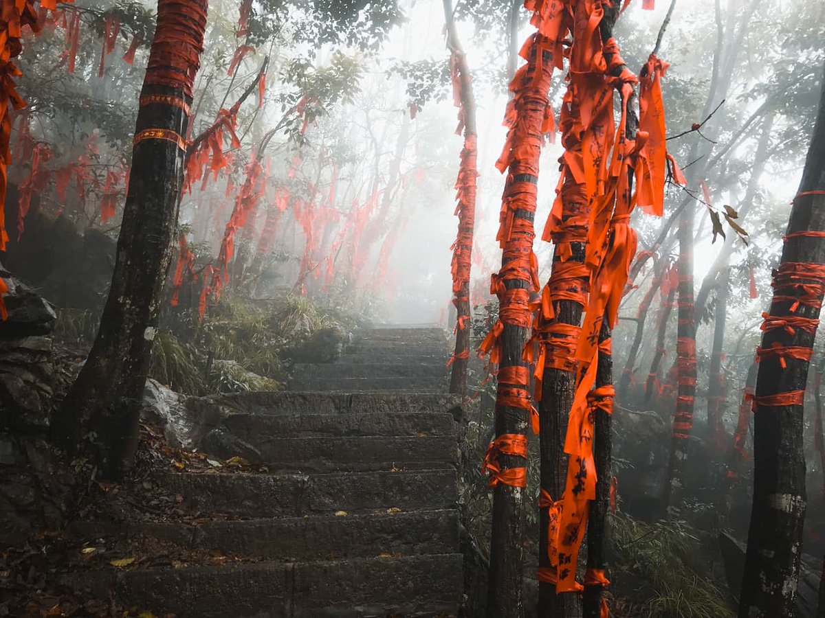 ManMeetsTheWrld's tweet image. At the top of Tiãnmén Mountain there are thousands of ribbons tied around trees. The Chinese write their dreams on them in hopes that someday they will come true. In Chinese culture red symbolises happiness and jubilation 🇨🇳
#china #tianmen #culture #travel #traveling #travellife