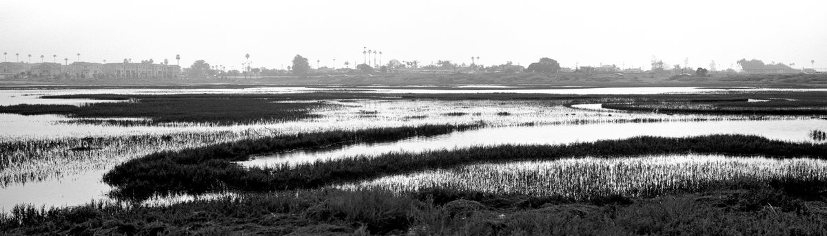 dizd's tweet photo. #believeinfilm #Kodak #TMax100 #fujigsw690iii #35mm #xpanmod #Texpan #gowideorgohome https://t.co/6wQKto7k71