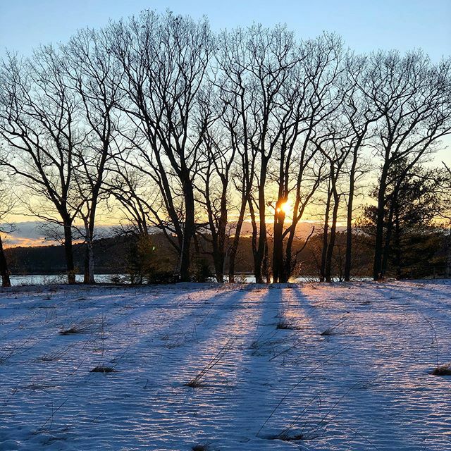katferrier's tweet photo. each body
has its way
of holding
the light
.
.
.
#maineaudubon #sunset #madeoflight #reportsfromthefield https://t.co/wmgFrQWvma https://t.co/XQdMHsdbWo