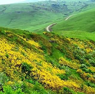 ERDNHAM99401211's tweet photo. @trtdunbugun GÜNAYDINTRTHABER.ORDU.PERŞEMBE.YAYLASI.ERDİNÇHAMLI https://t.co/6IwRfuUzbz