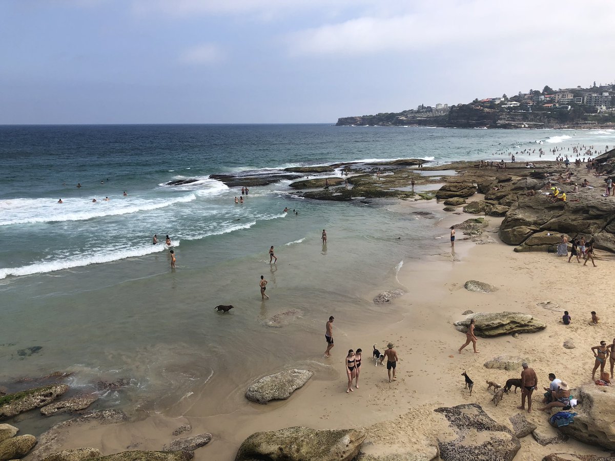 Jack Aroesty tweet media