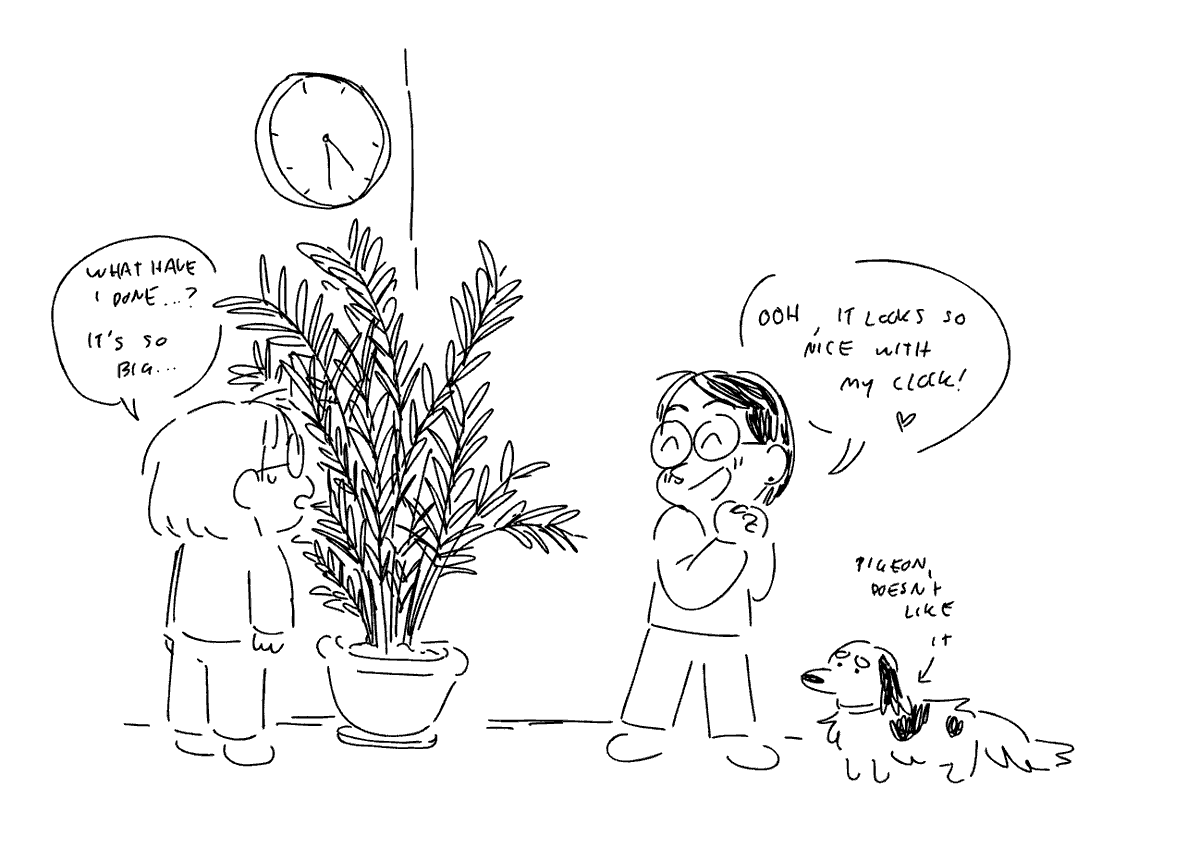 i got a big plant 