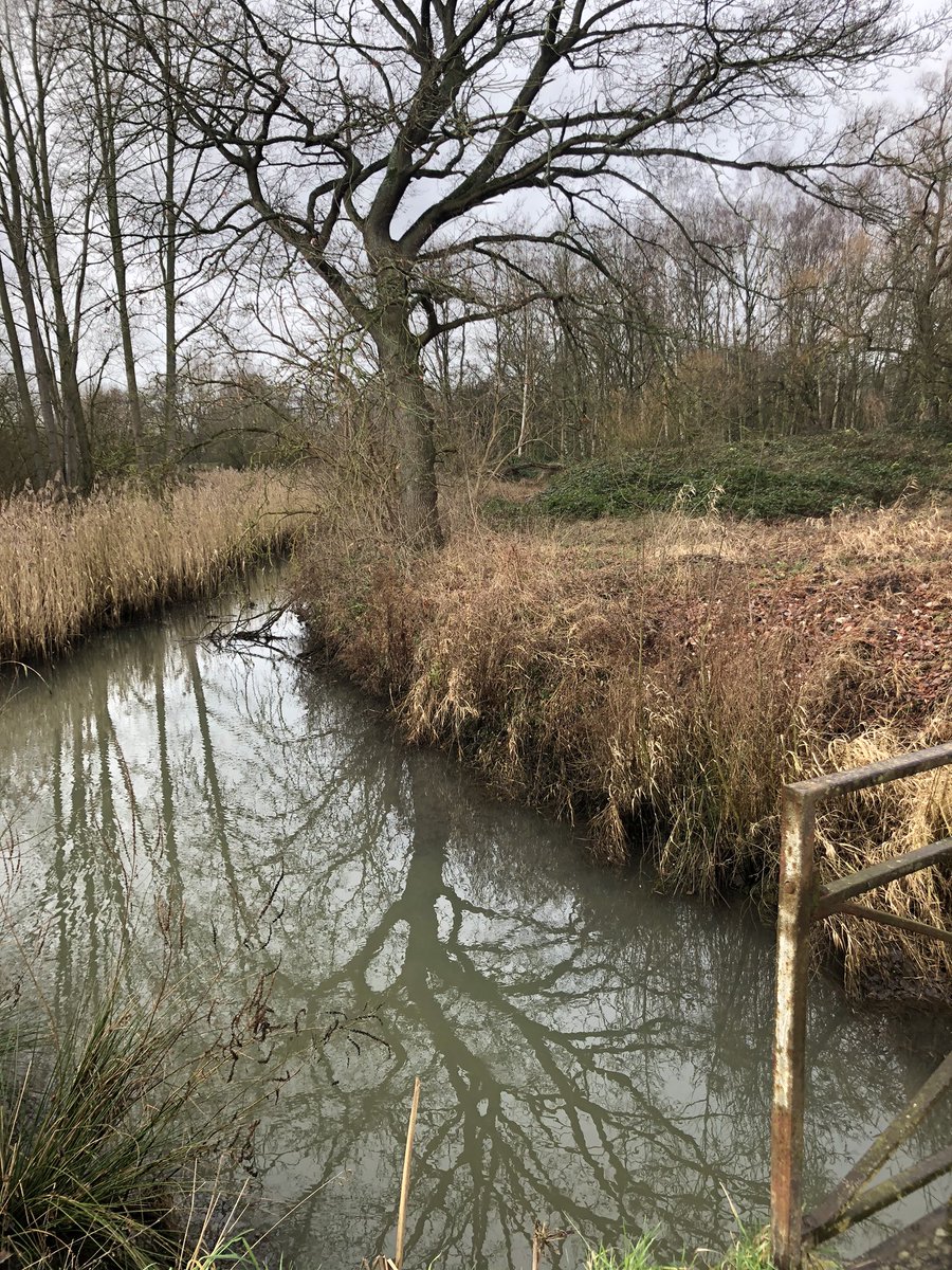 ConnyJust's tweet photo. Weer Mooi stukje natuur ontdekt dichtbij huis #barebeek @StadMechelen π https://t.co/fOLUWg47kX
