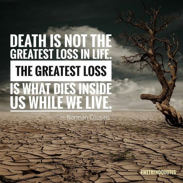 wetrendquotes's tweet photo. Double tap if you agree ❤️
.
.
.
.
#wetrendquotes #quotes #trending #greatestloss #quotesforever #quoteoftheday #quotepic #mondaymood #mondaymotivation #motivationalquotes #instagood #family #familytime #relationshipquotes #sheep #gif #inspirational #ins… https://t.co/MicL9On4pp https://t.co/c4kCTqEmCI