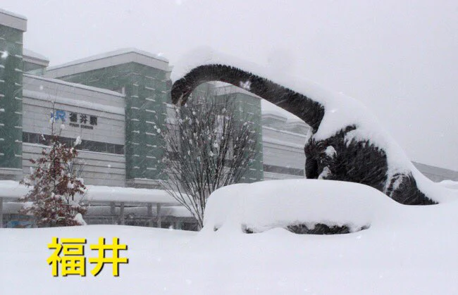 地域によって違う？大雪警報と聞いて各都市の人のイメージの違いwww