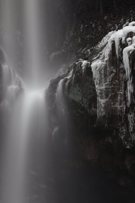 華厳のtwitterイラスト検索結果 古い順