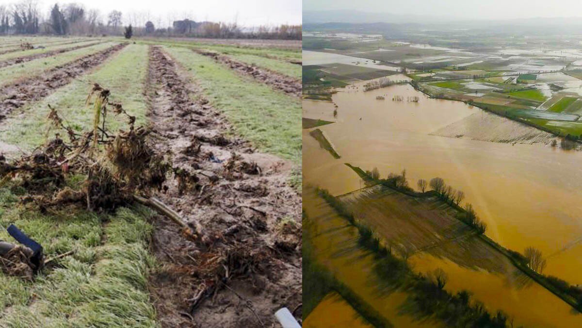 La setmana passada el curs del Ter, va deixar nombroses afectacions i destrosses. Des del Gremi de Flequers Artesans C. Gironines, volem donar suport als pagesos, tècnics de l'IRTA i farineres del projecte #ÉsFarinadeGirona. Quan haguem pogut fer balanç us informarem.