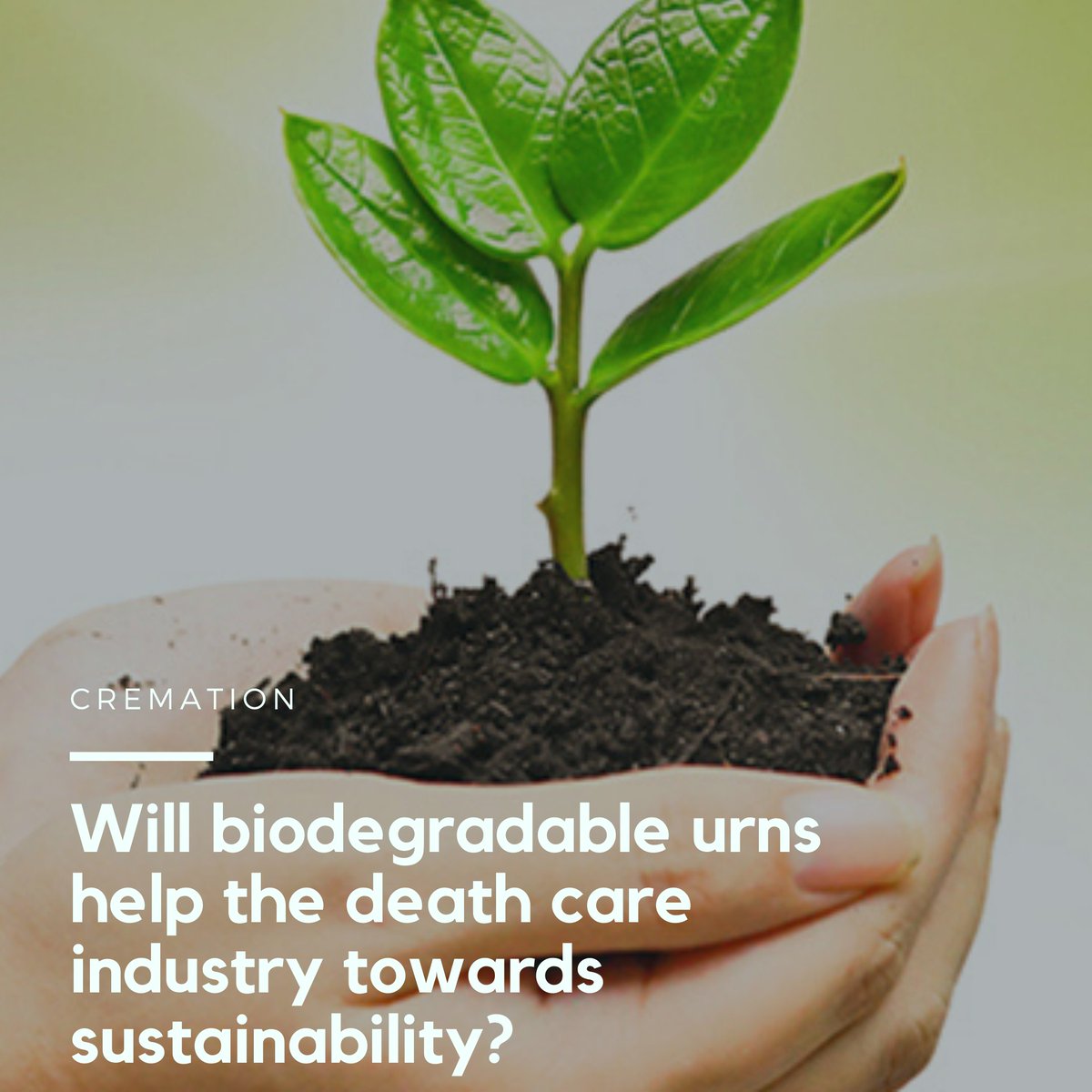 DeathCareIND's tweet photo. Increased #cremations and public awareness around the environment means that #biodegradableurns are growing in popularity and creating more sustainability in death care
๐https://t.co/uW4IZhBucT
#Deathcare #funeraldirector #sustainability #ecoburials #greenburials #urns #funeral https://t.co/msabWgmtek