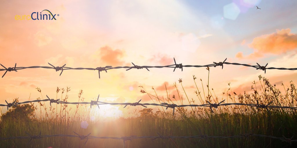 Heute wollen wir uns an den Holocaust und an alle Menschen, die ermordet wurden, erinnern. Wir werden nicht vergessen was passiert ist. Das diesjährige Motto lautet "Stand together."