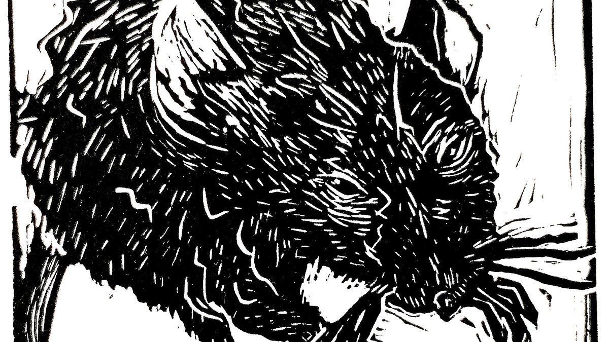 LowestoftLib's tweet image. And finally the Mouse Prince himself. &quot;I&apos;d give anything to have my phone back&quot; said Rose. Will the Mouse Prince grant her wish? Find out Feb 8th from 1pm @LowestoftLib @SuffolkLibrary   @BLOC_Arts #lowestoftlibrary  #storytelling