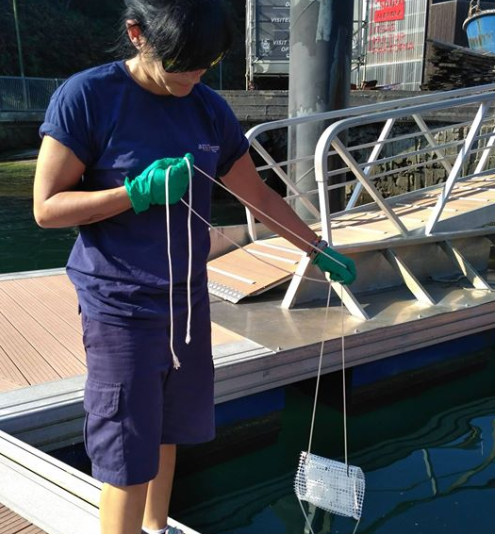 MonitoolProject's tweet photo. 🗓️ SAVE THE DATE: March, 12th  
📌#SanSebastián, Spain. 

Come and join to the technical WORKSHOP about passive sampling in transitional and coastal waters hosting by @aztitecnalia.

An opportunity to know more about #MONITOOL project and the excellent work done with DGTs. https://t.co/4pbpJstCFH