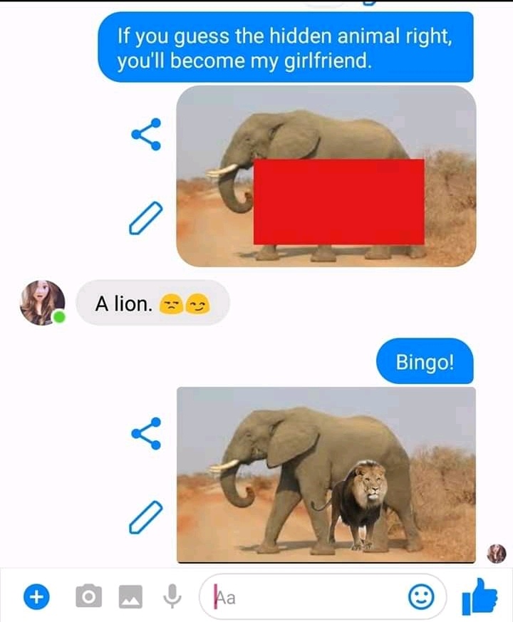 guess what animal you are