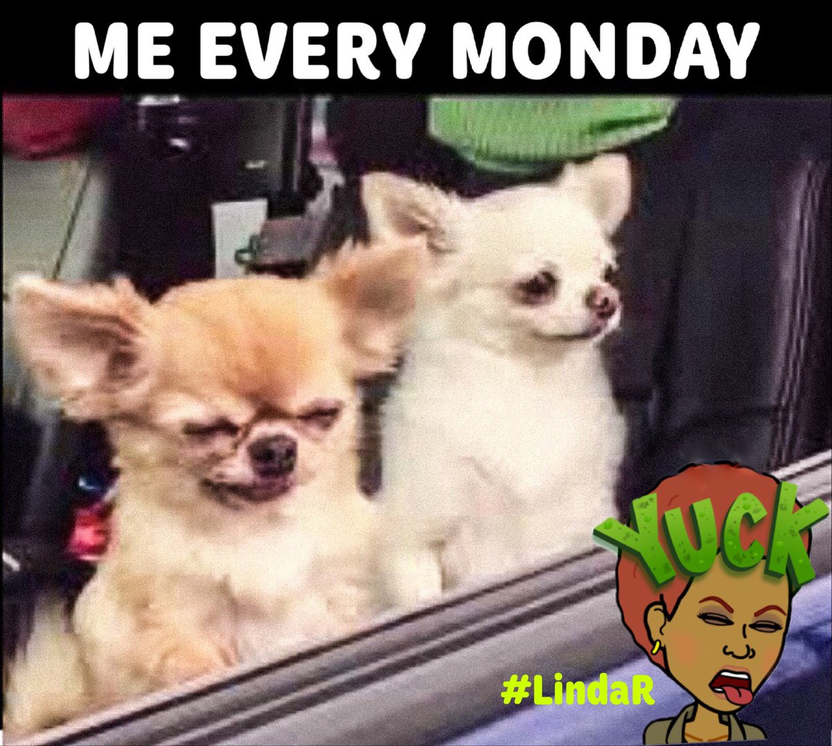 LindaRRadio's tweet image. It started early Early this morning with music computer drama. Sometimes... Ok once in awhile #Ihatecomputers 😖#MondayMonday #LindaR