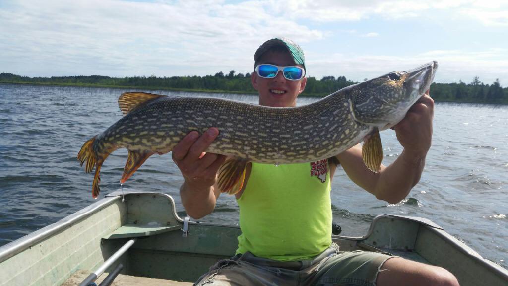 beetz_off's tweet photo. I can’t wait to escape reality and be in a boat drinking Busch lattes catching these gators https://t.co/H9TF64e7IK