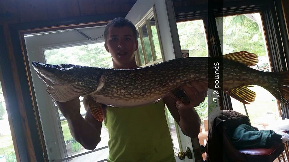 beetz_off's tweet photo. I can’t wait to escape reality and be in a boat drinking Busch lattes catching these gators https://t.co/H9TF64e7IK