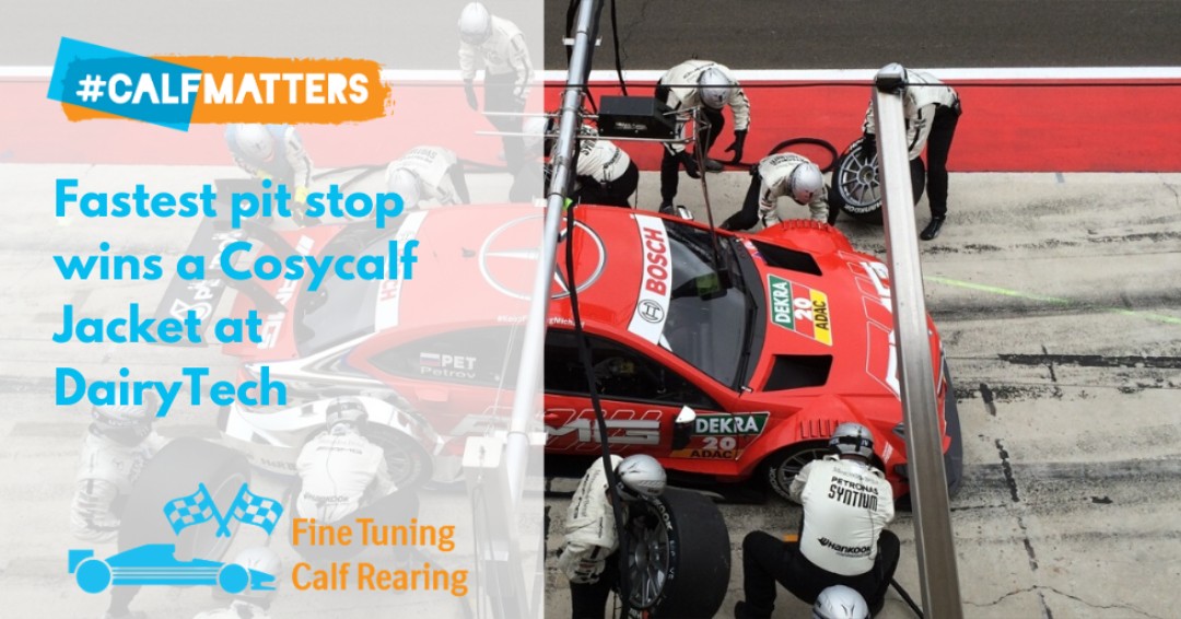 CALFMATTERS tweet media