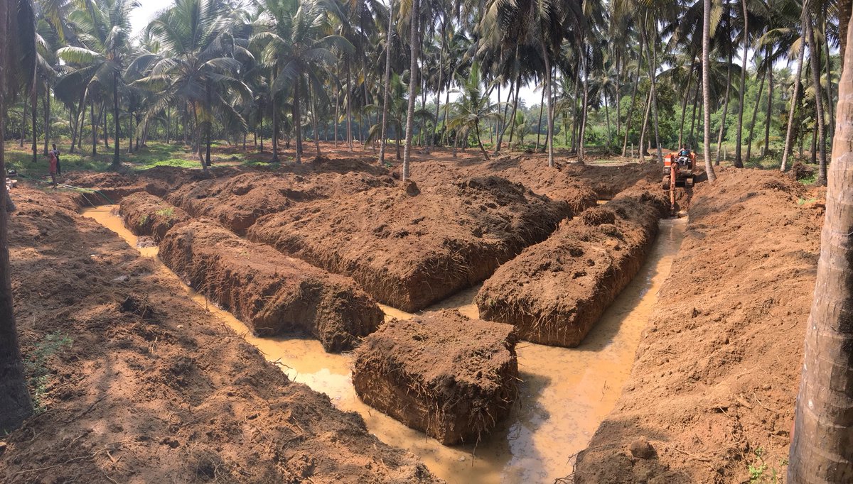 aourojit's tweet photo. Great joy !! Fresh updates under and above ground ! https://t.co/G7Q0eTrdkA