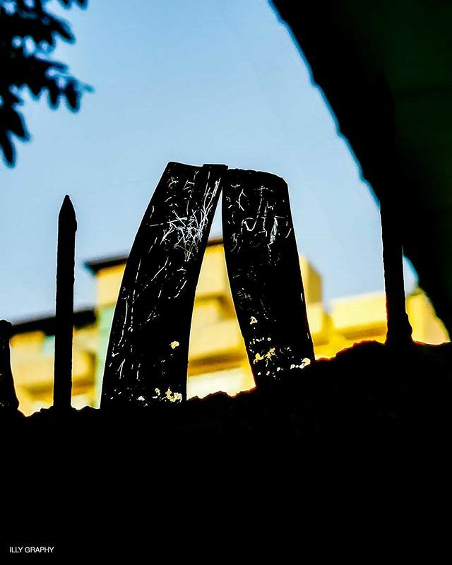 ahamdilhamnizam's tweet photo. "There's some beauty, you just have to see it." ~Illy~
#beauty #random #illy #illygraphy https://t.co/V2LPCEZNqn https://t.co/CtFlQwHAKE