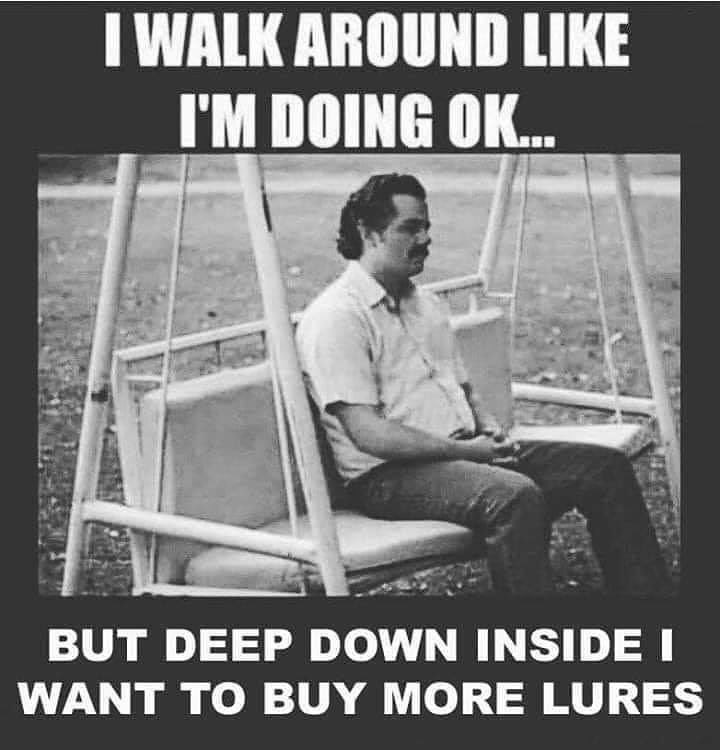 #bassfishing #fishlife #thischickcanfish