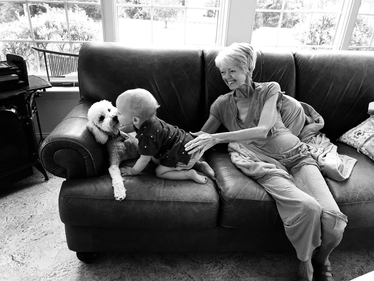 Donerade just förra årets streamingintäkter av Älskling du är här nu (sptfy.com/90lM)  till <a href="/Cancerfonden/">Cancerfonden</a> för andra gången💔