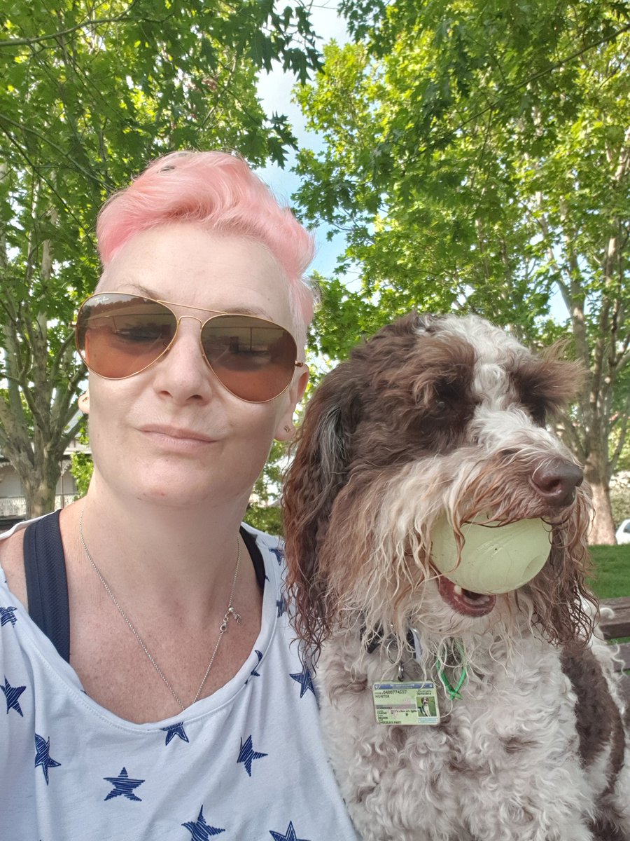 MiaReadsBooks's tweet photo. Jan 27: #grateful for a public holiday, time at the park with Hunter, a chance to pack up my library and the opportunity to finish my first beta read-through of the second Extraordinaries book #feelingrelaxed #gettingpacked #nopeeking https://t.co/YmNk1SAJJK