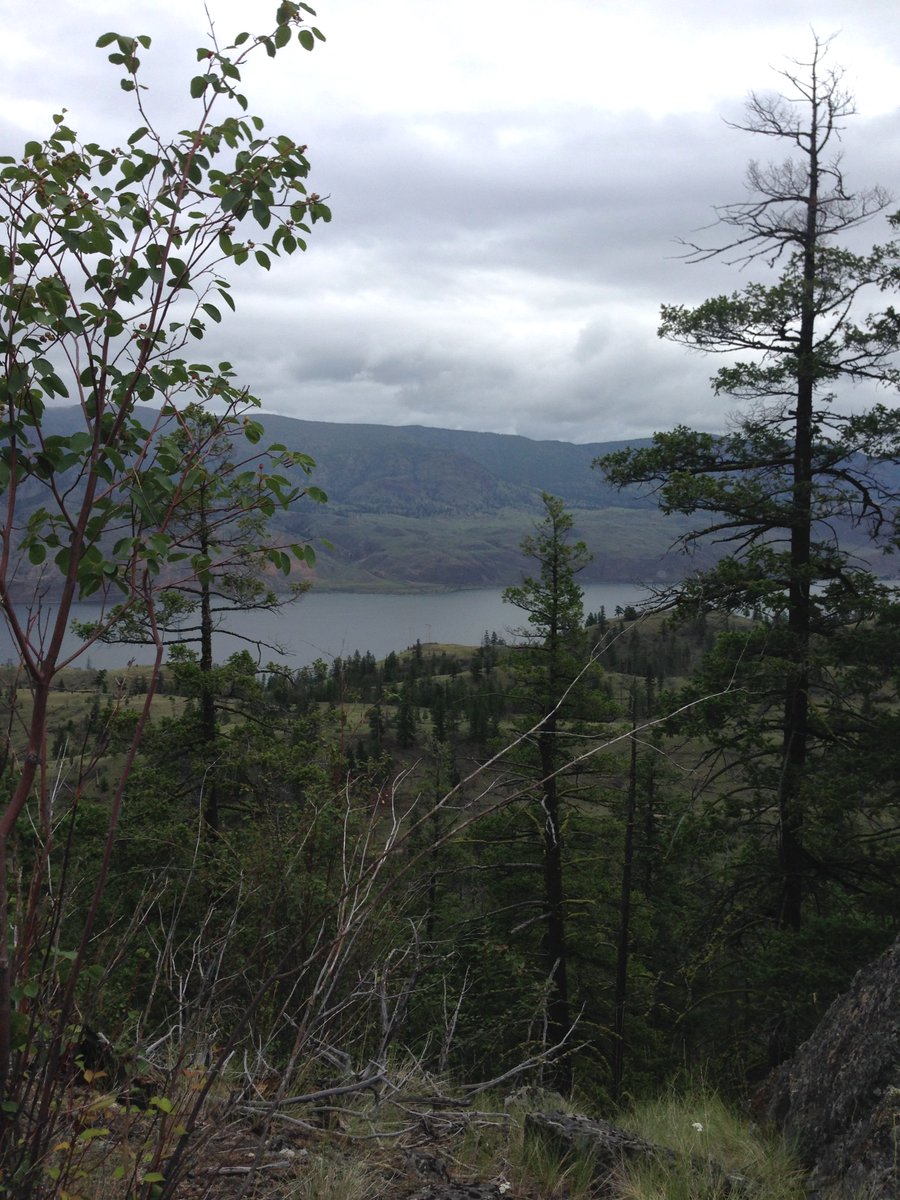 Section B of the Great Divide #Trail thetrek.co/section-b-of-t… italy #neverstop #island