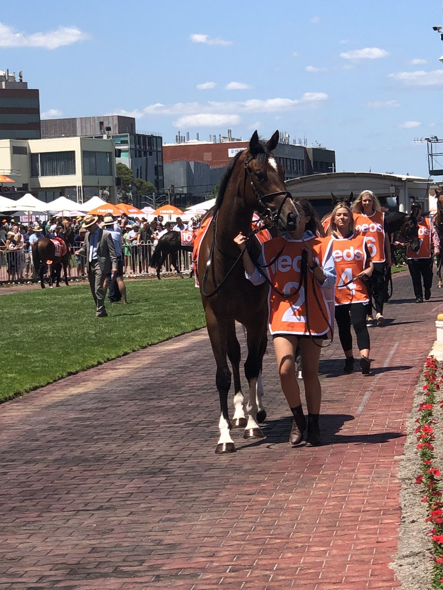 beckysmith360's tweet photo. Another great few days seeing more winners with @cmaherracing @eustacedj #abeautifulnight #Grandpromenade #teamonfire #MaherEustace #Alexscottscholarship #travel #aussieracing #lucky #thankful https://t.co/T7ScghofKC