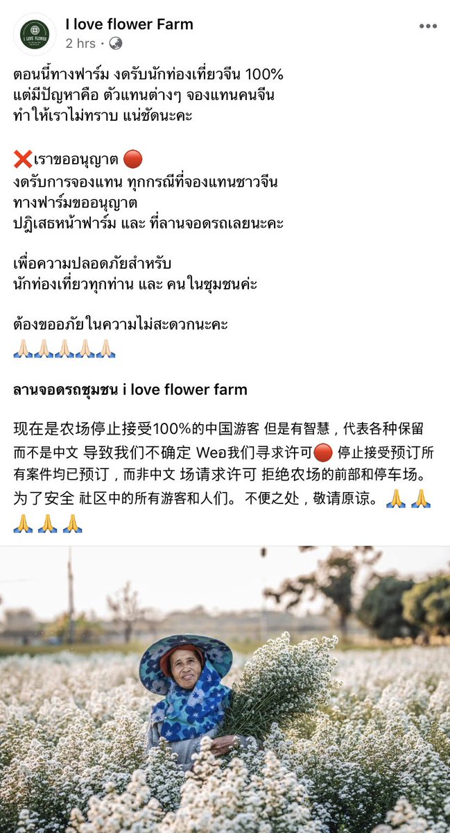 𖥧 𖧧 ˒˒ ꪔ̤̮ tweet media