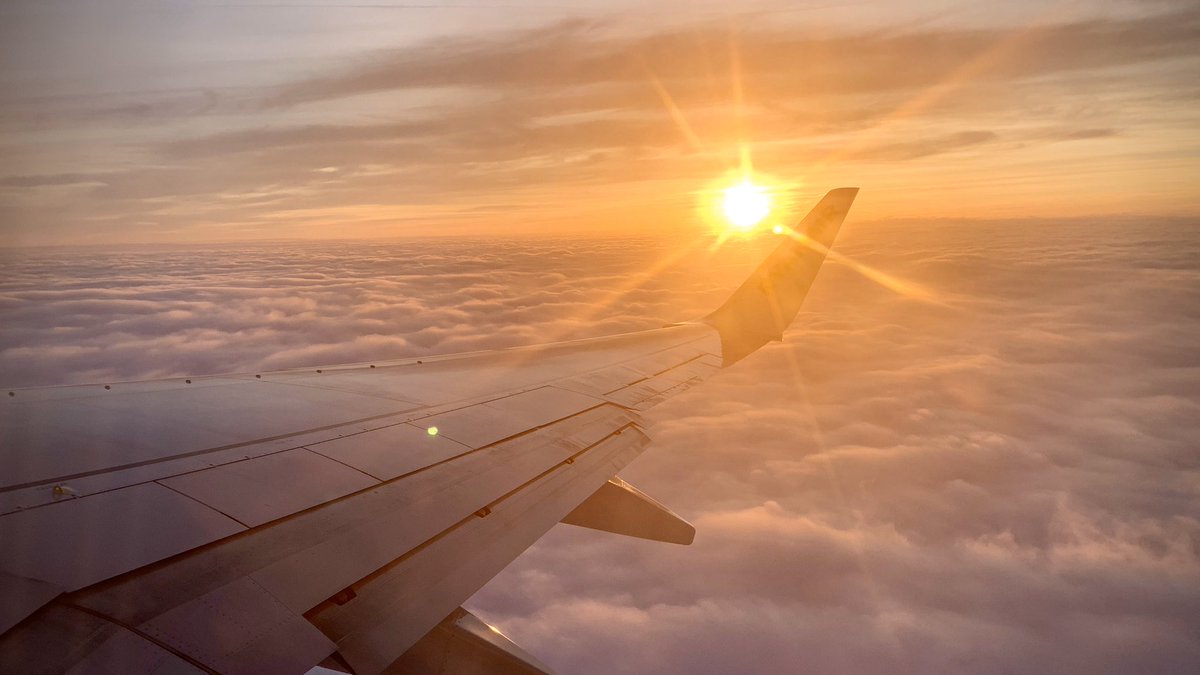 Miki Martin (@miki__m) on Twitter photo 