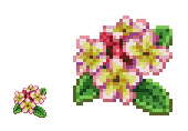 Katarazu プルメリア 花言葉 気品 Picopiyo Pixelart ドット絵 Katarazu プルメリア 花言葉 気品 Picopiyo Pixelart ドット絵