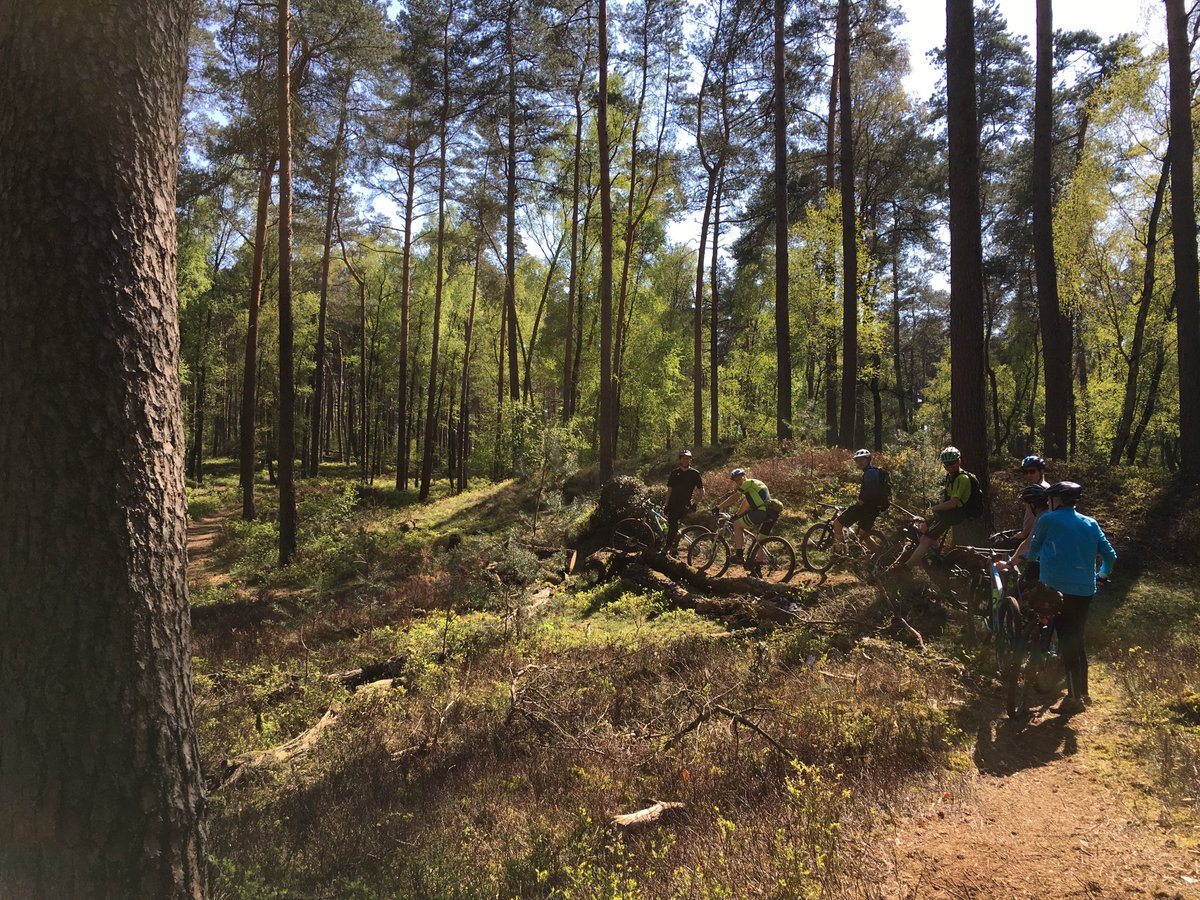 Boswachters Veluwezoom: mountainbike alleen op mtb-paden natuurmonumenten.nl/nieuws/mountai…