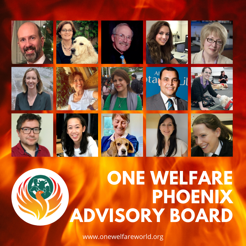 We are delighted to introduce you to our #OneWelfarePhoenix project advisory board members >> onewelfareworld.org/phoenixboard.h… - designed to support #SDGs &amp; global reduction of violence by supporting the production/dissemination of practical guides to professionals #thelink #onewelfare