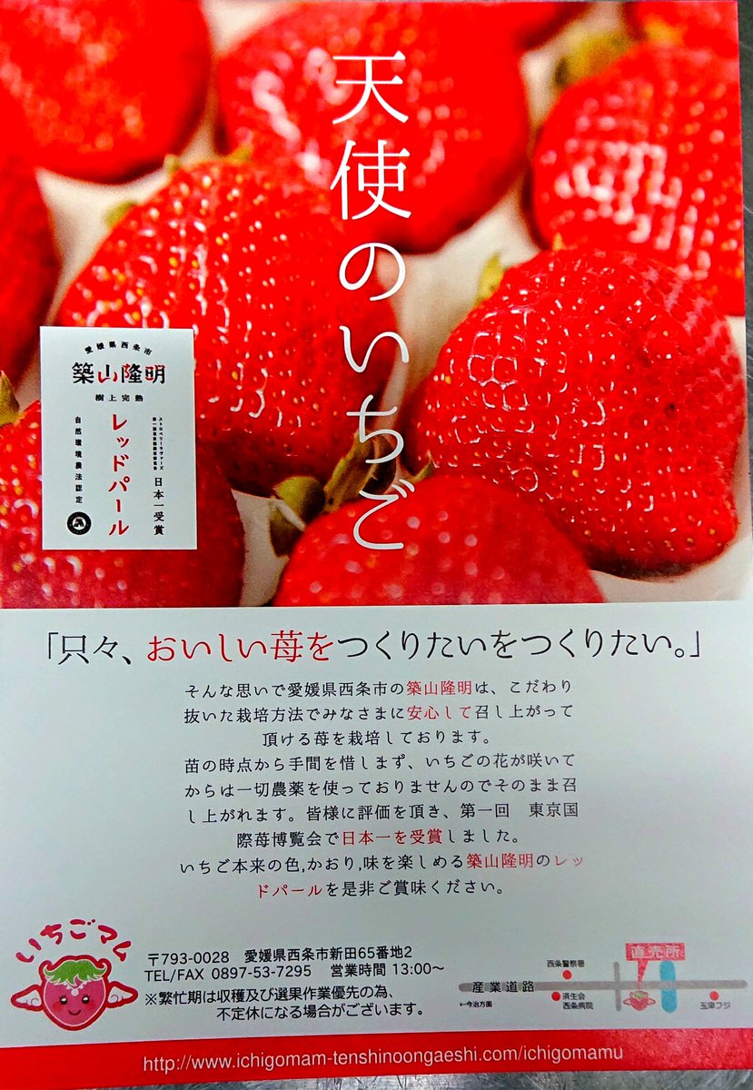 しましまココア 築山隆明さんの苺 レッドパール 新作ꫛꫀꪝ ミニいちご いちごパフェ ง ง 数年前 月曜から夜ふかしの苺特集で マツコにいじられてたw絶品いちごを使った ミニパフェ レッドパールのソルベにカルピジャーニから創り出されるオリジナル