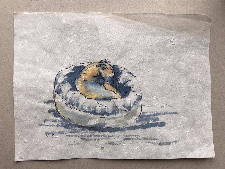 FionaThomsonArt's tweet photo. Monday! It’s snowing outside! The dogs are in their donuts but I have drawing to do..
(A wee sketch on Khadi paper from last year)
#PeediePointyDog #whippet #iamdrawingabook #illustrator #pointydog #iggie #whippetsoftwitter #dogsontwitter #twitterdogs #italiangreyhound #dogart https://t.co/ScnAcADxU4