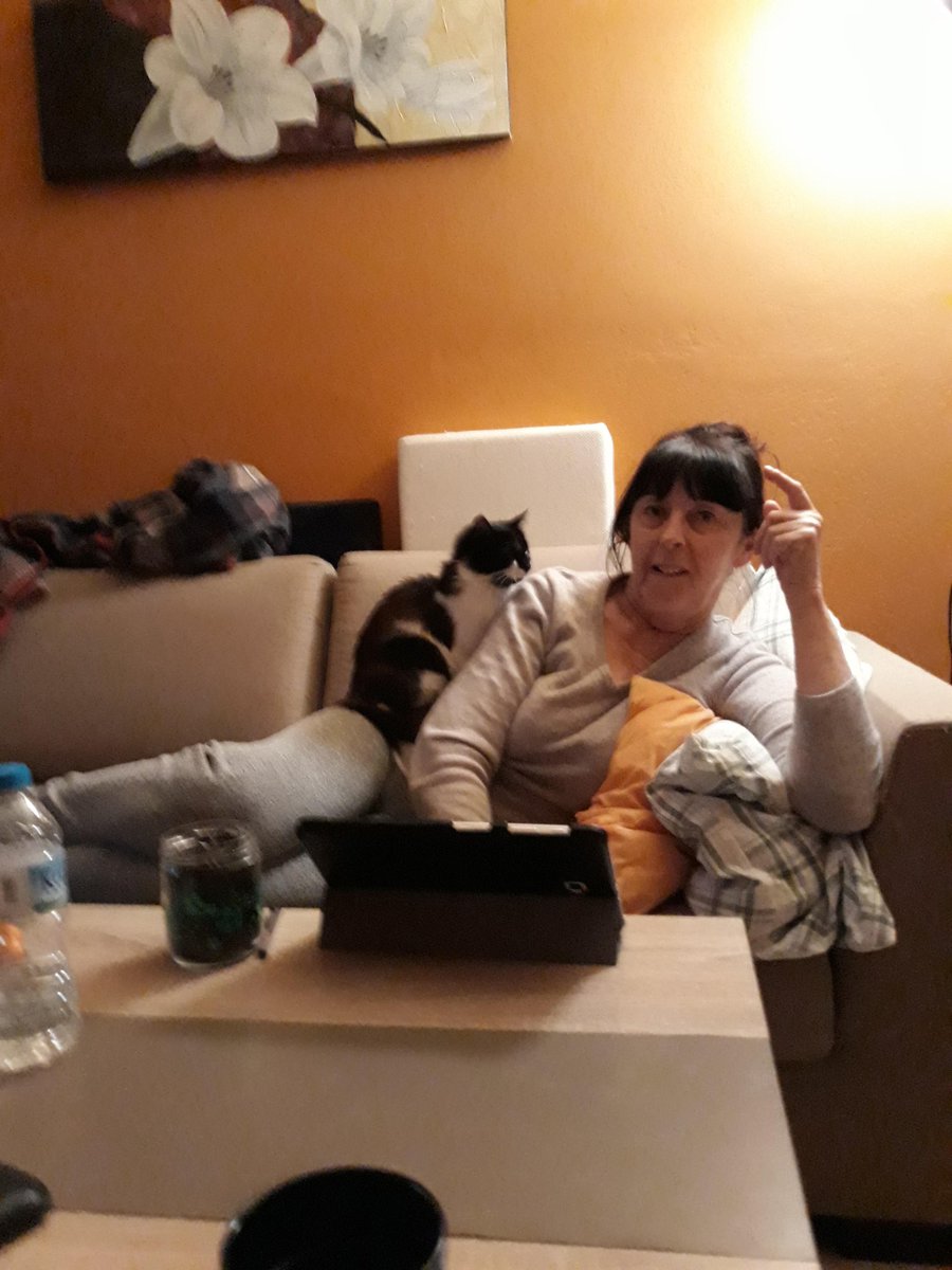 Reginas Tierrettung Preveza Griechenland 🐱 tweet media