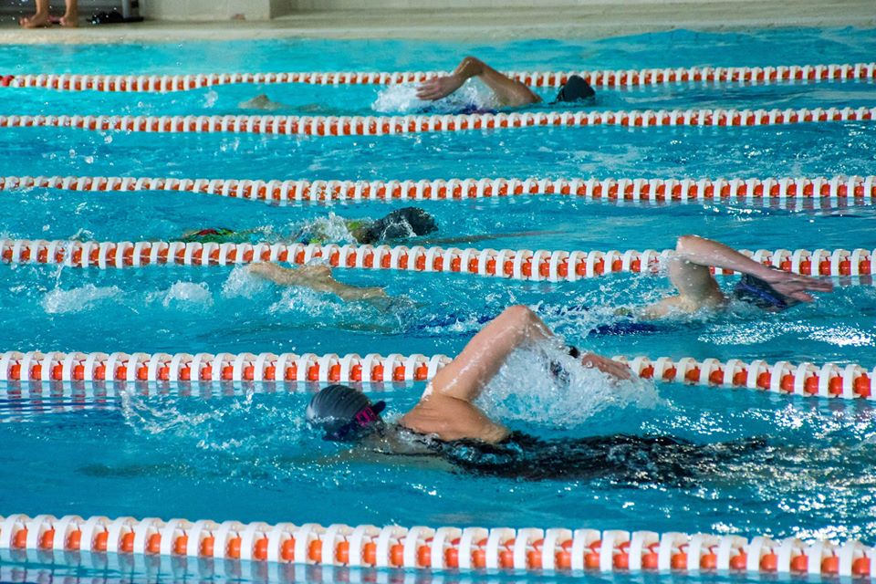 FMTriatlon's tweet photo. El domingo nos esperan dos pruebas muy divertidas, el DuCross Moraleja de Enmedio @DuCrosSeries y el Acuatón @X3MTri @GOfit_es Majadahonda. 
Inscripciones hasta el miércoles.
https://t.co/LstmZByjwc
#TriatlónMadrid #DuatlónCross #Acuatlón #deporte #competición #2febrero
@ufedema https://t.co/zWbAX4m6k7