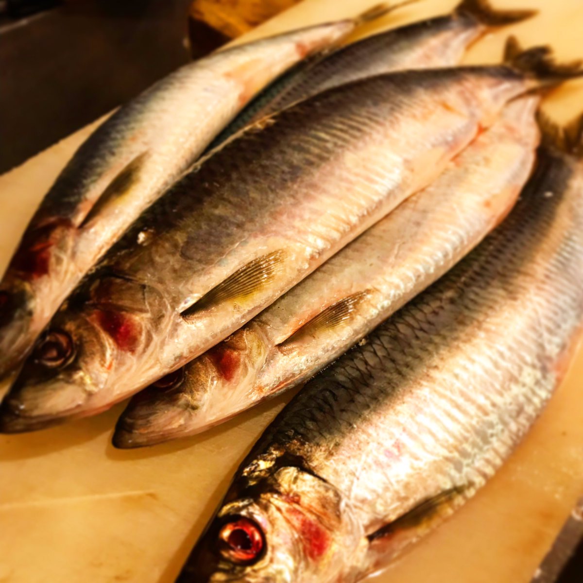 ট ইট র 魚菜酒笑 吉 国分寺 居酒屋 魚 魚菜酒笑 吉 国分寺 居酒屋 国分寺居酒屋 海鮮居酒屋 刺身 焼き魚 煮魚 新湊 富山 国分寺 魚 生にしん 本日 臨時営業しております 生にしん 入荷してます お腹にたっぷり卵があるよー 数の子ですね あるいは 白子