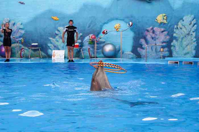 Андрей tweet media